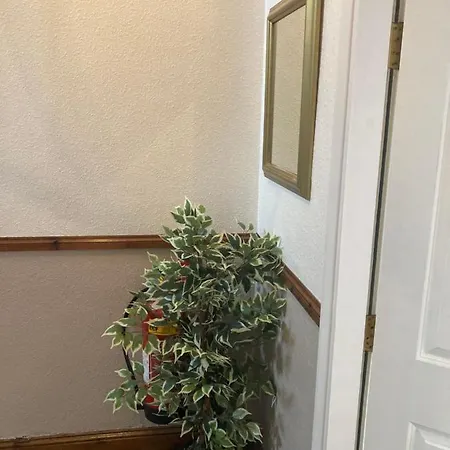 Bed and breakfast Ellies