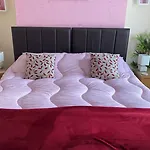 Ellies 4*