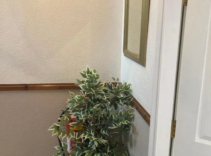 ベッド・アンド・ブレックファスト Ellies